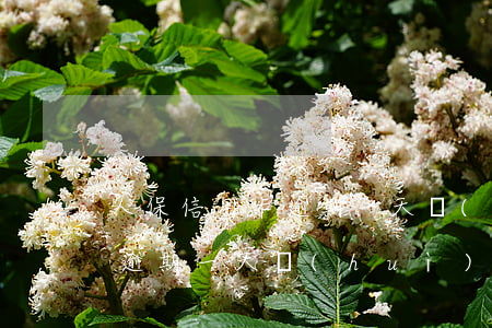 人保信用卡逾期一天會(huì)怎樣(人保逾期一天會(huì)不會(huì)上征信)