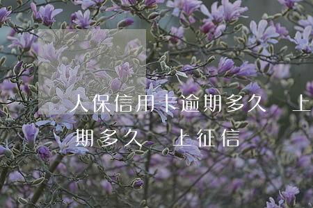 人保信用卡逾期多久會上征信(人保信用卡逾期多久會上征信)