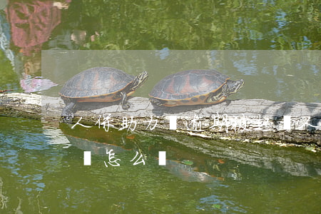 人保助力貸逾期被起訴(人保助貸協起訴法院會怎么樣)
