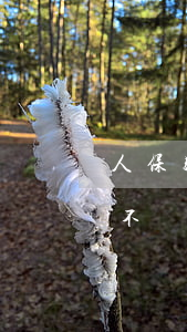 人保助貸逾期還不起了怎么辦(人保貸款逾期不還會(huì)怎么樣)