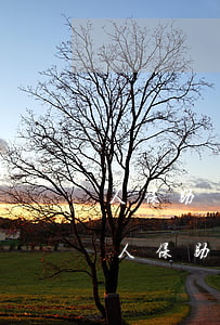 人保助貸險(xiǎn)疫情逾期能退保嗎（人保助貸險(xiǎn)疫情逾期）