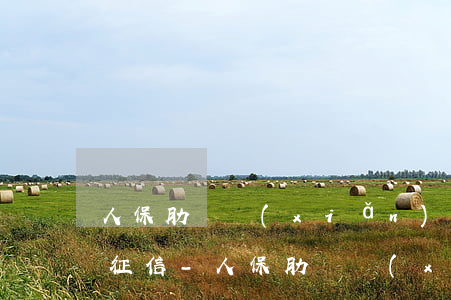 人保肋貸險(xiǎn)的貸款逾期多久上征信-人保肋貸險(xiǎn)的貸款逾期多久上征信記錄