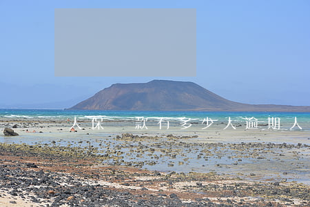 人保貸款有多少人逾期(人保貸款逾期了怎么辦)