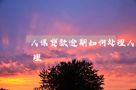人保贷款逾期如何处理(人保贷款不还怎么处理)
