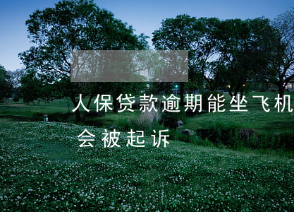 人保贷款逾期能坐飞机吧(人保贷款逾期多久会被起诉)