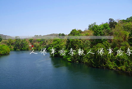 人保车险条款(人保车险条款免责条款)