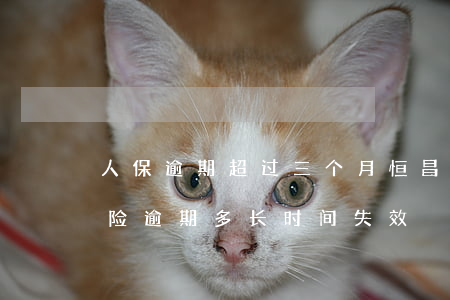 人保逾期超过三个月恒昌最新近况-人保保险逾期多长时间失效