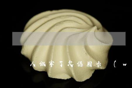 人做牢了欠信用卡網(wǎng)貸怎么辦