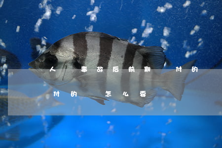 人傷事故后前期墊付的錢怎么拿回頭(事故墊付的錢怎么要)