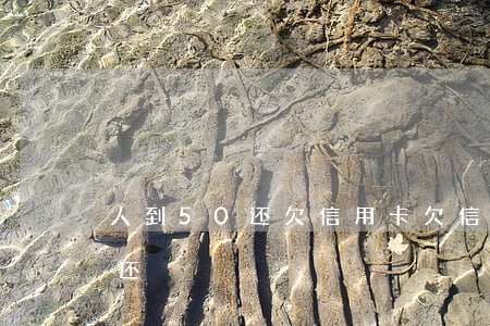 人到50还欠信用卡 欠信用卡50万无力偿还