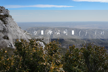 人力資源公司經(jīng)營范圍有哪些