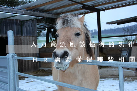 人力資源應該懂得的法律法規(guī)(HR需要懂得哪些相關法律法規(guī))