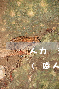 人力資源法律法規(guī)測(cè)試(做人力資源應(yīng)該了解哪些法律法規(guī))