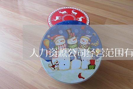 人力资源公司经营范围有哪些