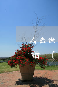 人去世了指標(biāo)怎么繼承(人死了指標(biāo)可以繼承嗎)