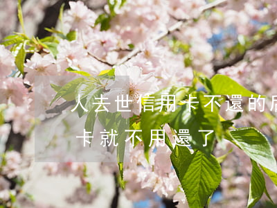 人去世信用卡不還的后果(人死后是不是信用卡就不用還了)