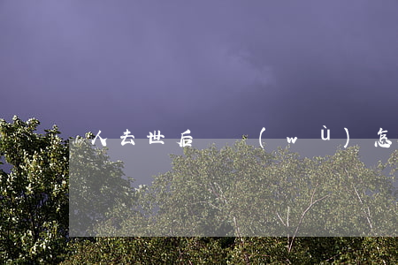 人去世后債務(wù)怎么處理