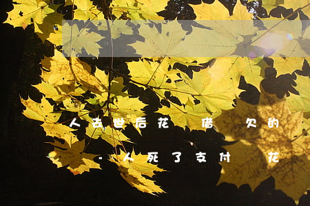 人去世后花唄借唄欠的錢(qián)怎么辦-人死了支付寶花唄借唄欠錢(qián)不還會(huì)有什么后果