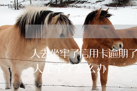 人去坐牢了信用卡逾期了怎么办 欠信用卡钱人坐牢了怎么办