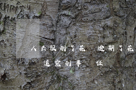 人去服刑了花唄逾期了(花唄逾期真的會被起訴追究刑事責任嗎)