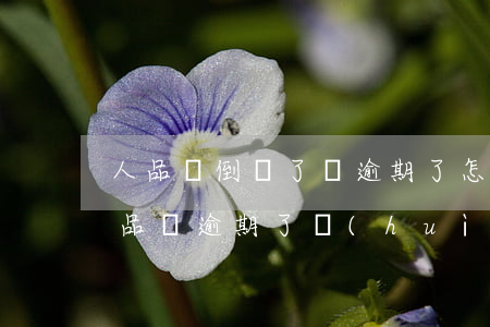 人品貸倒閉了嗎?逾期了怎么催收不打電話（人品貸逾期了會(huì)被起訴嗎）