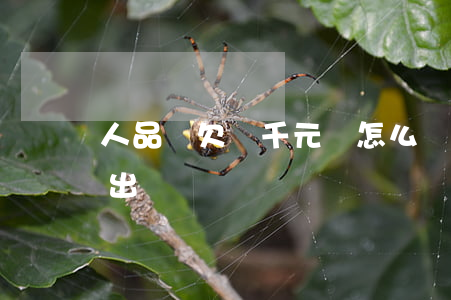 人品貸欠幾千元會怎么樣(人品貸怎么樣能貸出來)