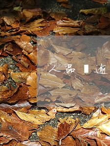 人品貸逾期可以協(xié)商還款嗎