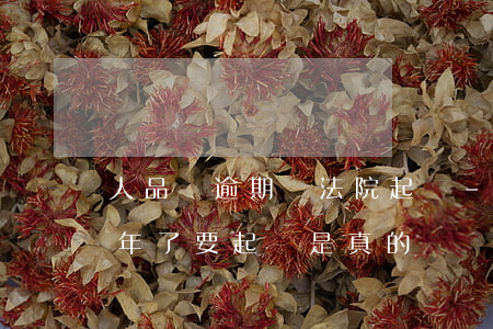 人品貸逾期說法院起訴-五一人品貸逾期半年了,要起訴是真的嗎
