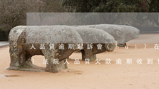 人品貸逾期起訴會(huì)在哪個(gè)法院(人品貸欠款逾期收到信息要起訴)