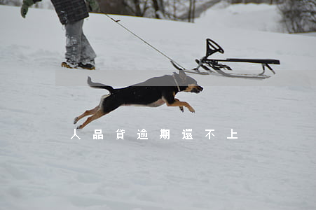人品貸逾期還不上