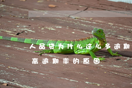 人品贷为什么这么多逾期的贷款，揭秘人品贷高逾期率的原因