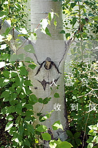 人品贷欠款两千多逾期三年(人品贷欠款逾期收到信息要起诉)