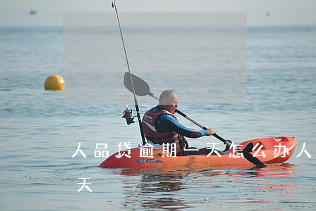 人品贷逾期一天怎么办(人品贷极速版逾期一天)