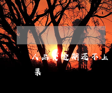 人品贷逾期还不上了(人品贷没还会有什么后果)