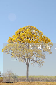 人員管理辦法