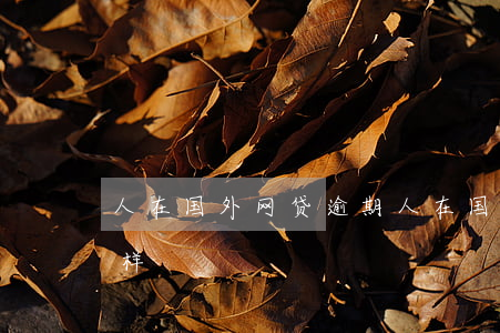 人在国外网贷逾期(人在国外网贷逾期会怎么样)