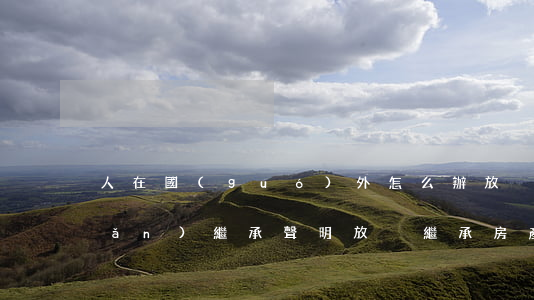 人在國(guó)外怎么辦放棄房產(chǎn)繼承聲明(放棄繼承房產(chǎn)的聲明書(shū))