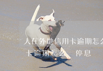 人在外地信用卡逾期怎么辦-人在外地信用卡逾期怎么辦停息掛賬