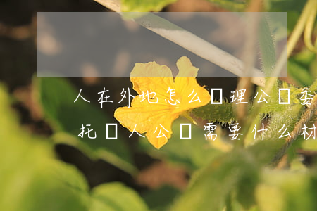 人在外地怎么辦理公證委托書(shū)(委托別人公證需要什么材料)