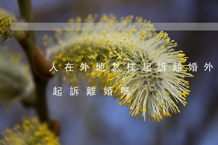 人在外地怎樣起訴離婚(外地戶口可以在本地起訴離婚嗎?)