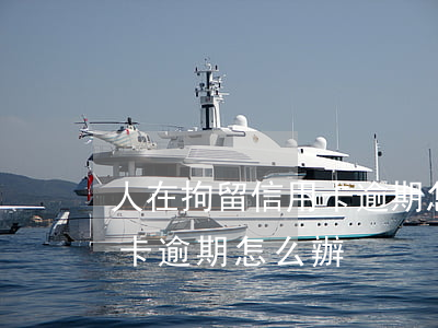 人在拘留信用卡逾期怎么辦(人在拘留所信用卡逾期怎么辦)
