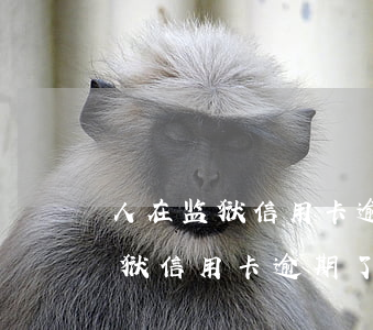 人在监狱信用卡逾期了能给取消吗-人在监狱信用卡逾期了能给取消吗怎么办