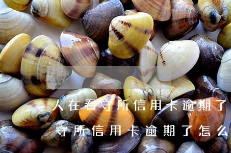 人在看守所信用卡逾期了怎么處理-人在看守所信用卡逾期了怎么處理呢