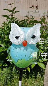 人在看守所信用卡逾期被起訴怎么辦-人在看守所信用卡逾期被起訴怎么辦理