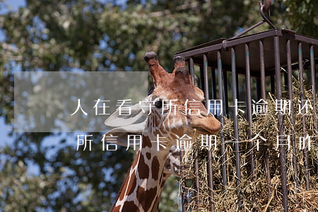 人在看守所信用卡逾期还款后果-因进看守所信用卡逾期一个月咋办