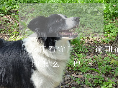 人在看守所網貸逾期征信(人在看守所,貸款逾期怎么處理)