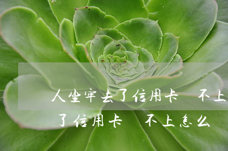 人坐牢去了信用卡還不上怎么辦-人坐牢去了信用卡還不上怎么辦呢