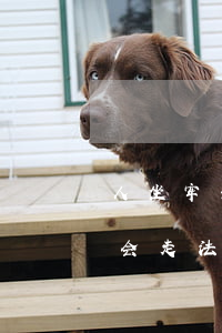 人坐牢去了欠360网贷怎么办(360贷款会走法律程序吗)