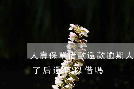 人壽保單借款還款逾期(人壽保單借款到期還了后還可以借嗎)