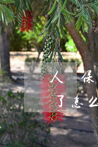 人壽保險(xiǎn)交費(fèi)逾期了怎么辦(人壽保險(xiǎn)保費(fèi)可以逾期多久)